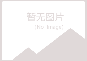 鲁山县埋没零售有限公司